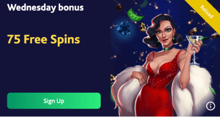 other casino promotions at 7Bit Casino
